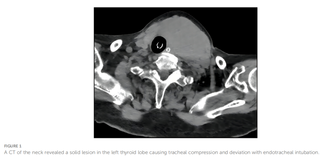 1733994289244090.png ͼƬ 3.png