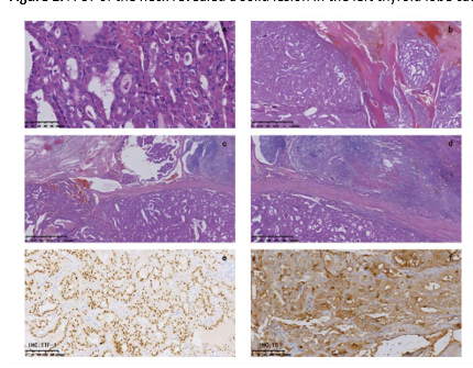 1733994308768849.png ͼƬ 2.png