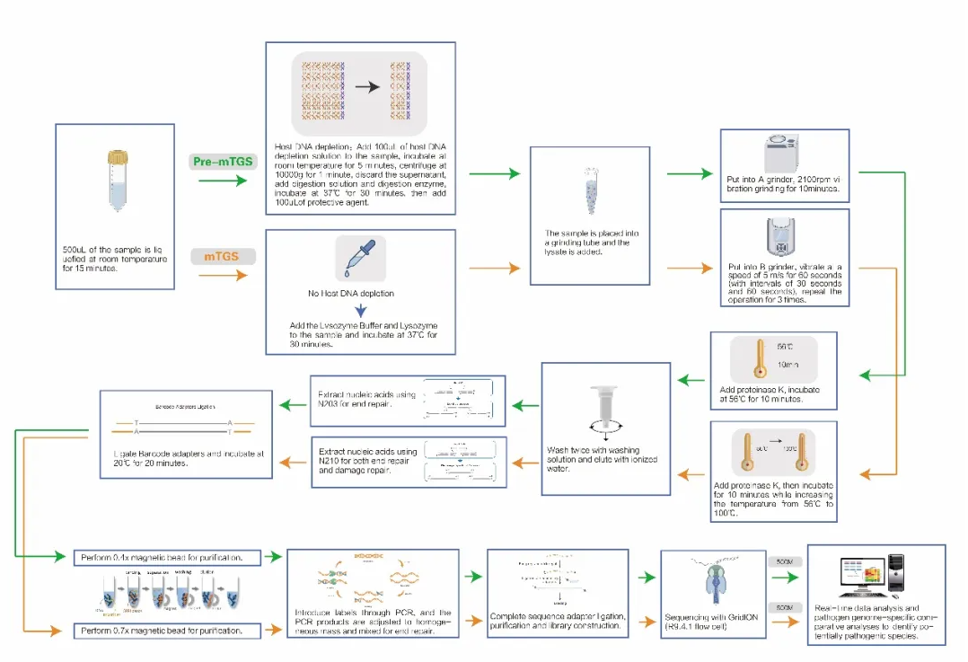 1749868068972919.png 4.png