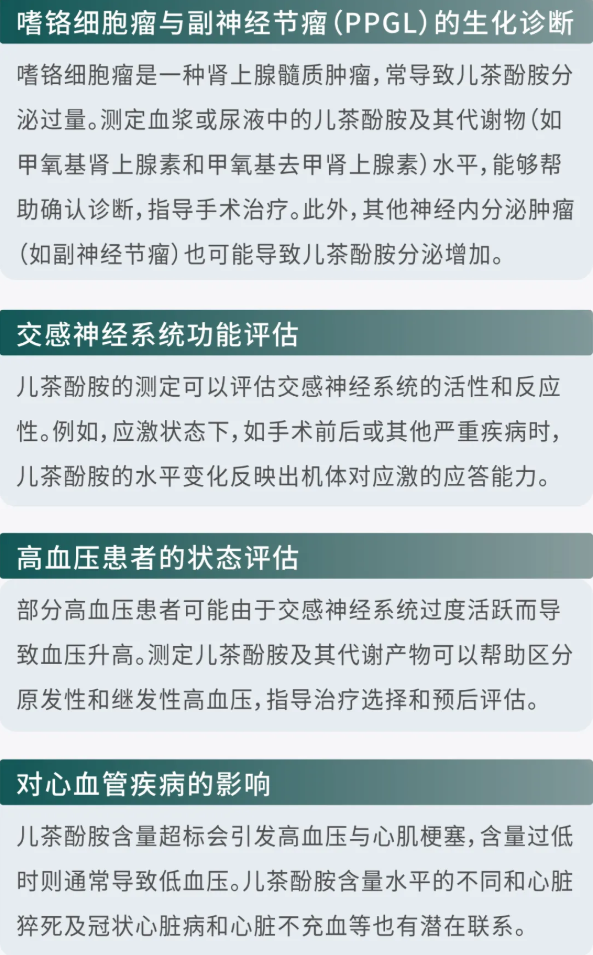 1749869326575134.png 2.png