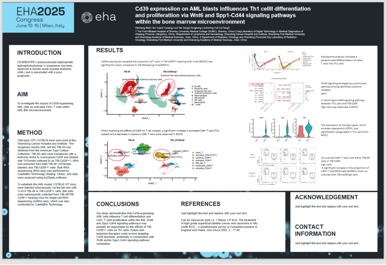 1750768465608575.png 8.png