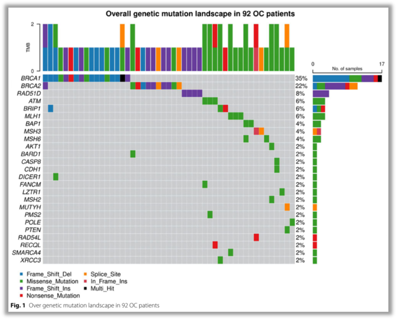 1752582024767230.png 3.png