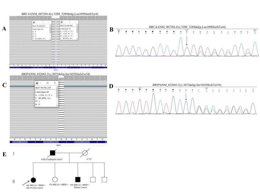 1754638316791880.png 22.png