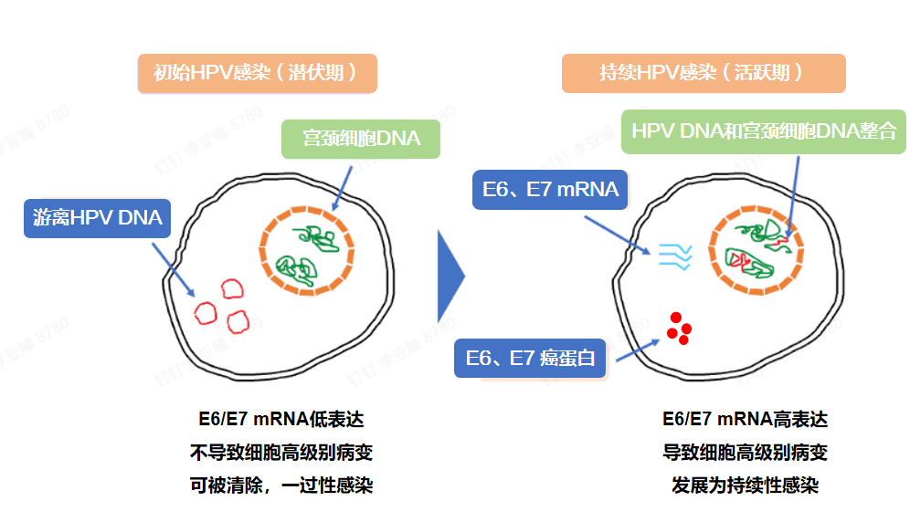 1755166742355379.png 11.png